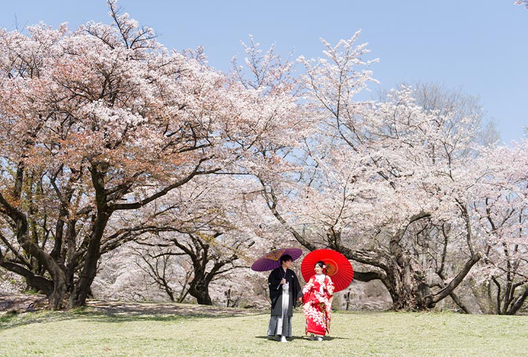 桜ロケーション