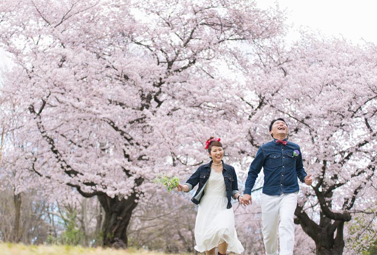 桜ロケーション