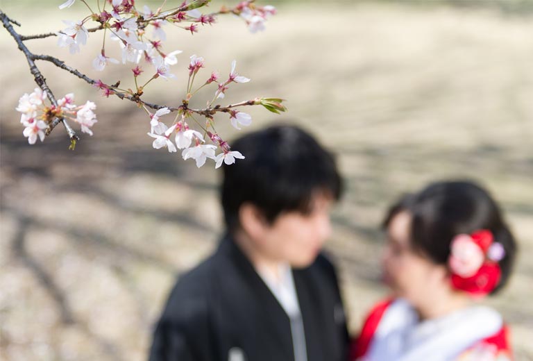 桜ロケーション