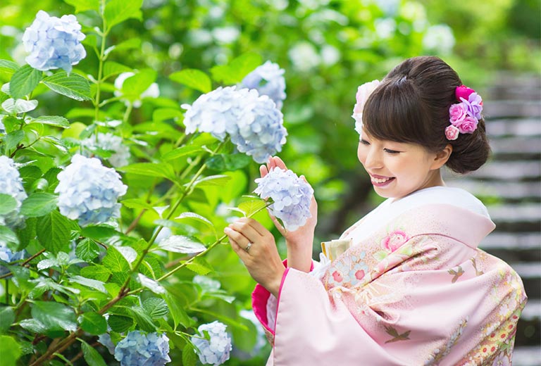 紫陽花ロケーション