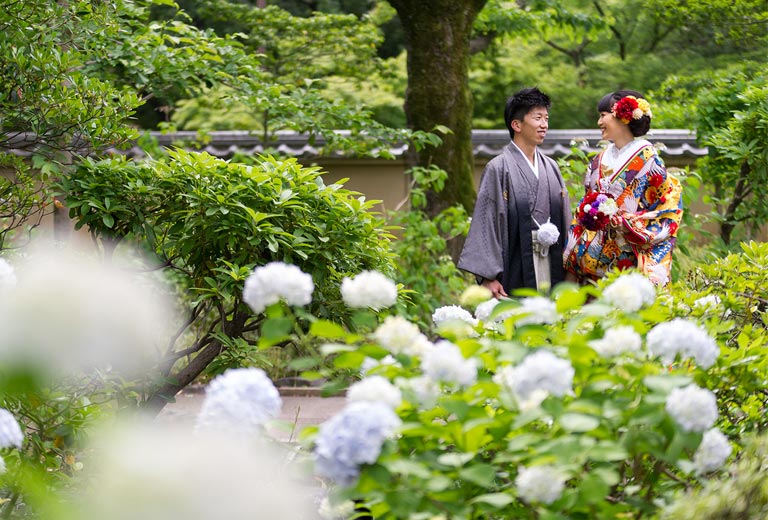 紫陽花ロケーション