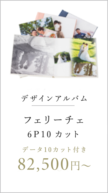 デザインアルバム フェリーチェ 6P10カット データ10カット付き 82,500円〜