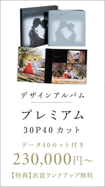 デザインアルバム プレミアム 30P40カット データ40カット付き 230,000円〜 【特典】衣裳ランクアップ無料