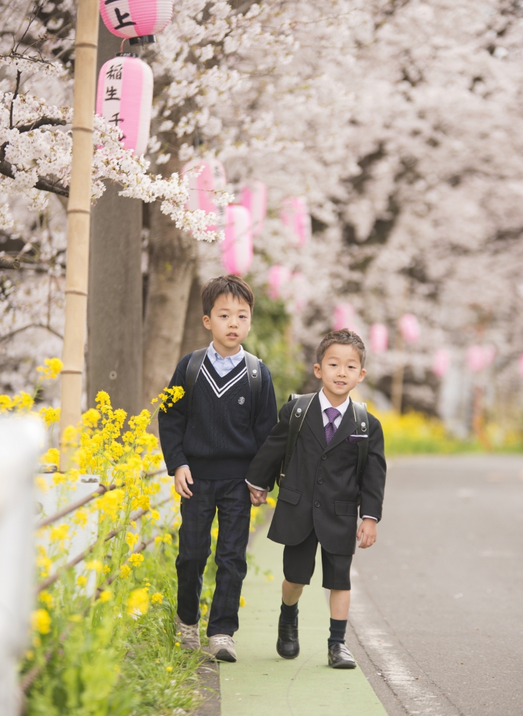 桜,入学