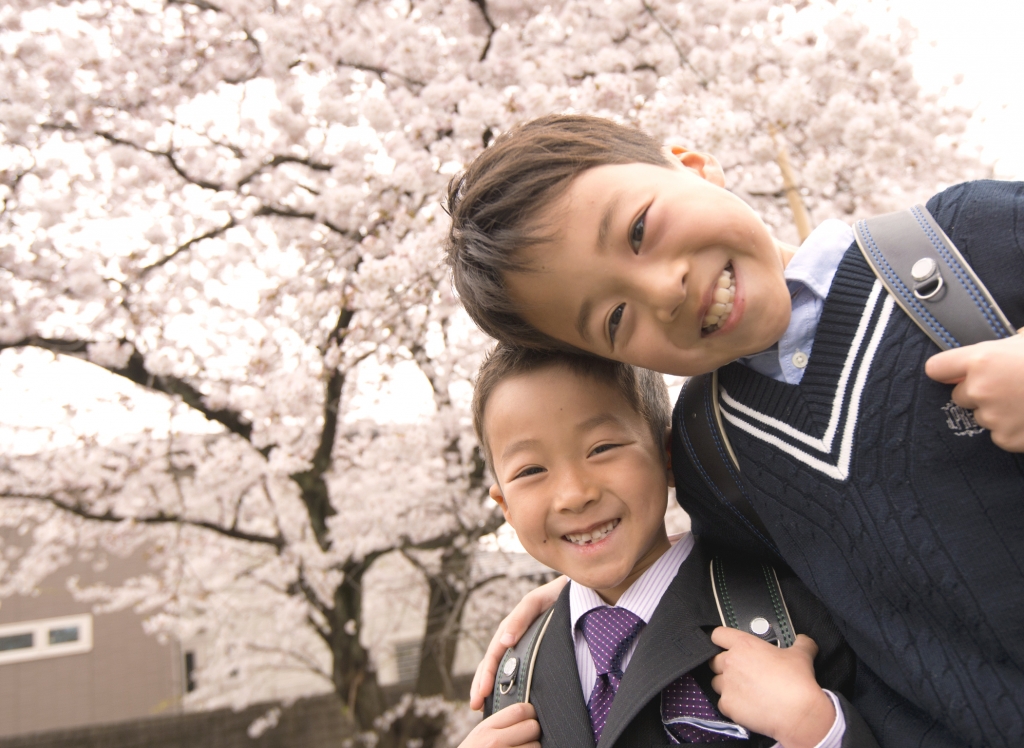 桜,入学