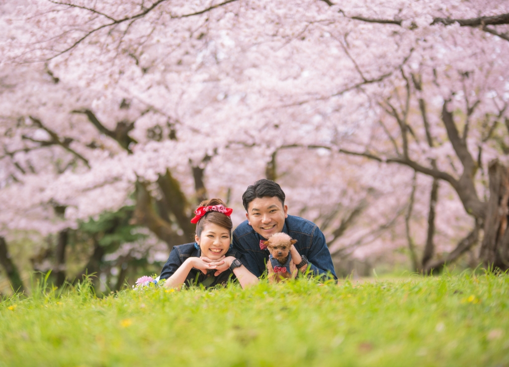 桜,ペット撮影,フォトウェディング