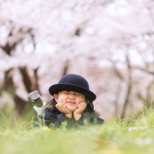 入園桜